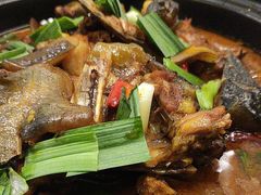 -小团圆灶台鱼·百城头牌菜(千岛湖店)
