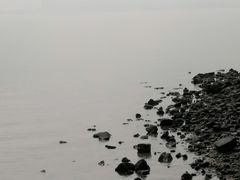 -深圳湾公园(南山区)