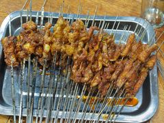 -韩马老王烧烤(西二路店)