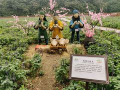 -广州市石门国家森林公园