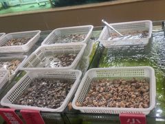 -南庄酒家·海鲜粤菜·25年老字号(环城南路店)