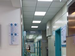 -北京观赏动物医院·24小时大型综合·猫专科·异宠专科