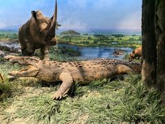 -国家自然博物馆