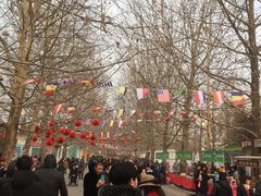 -朝阳公园游乐园