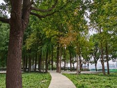 -上海山野camping·户外天幕烧烤·团建拓展营地