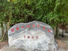 -五凤溪古镇
