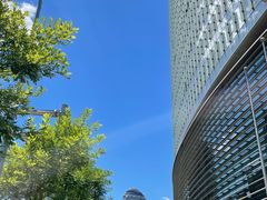 -卖呆儿咖啡(望京店)