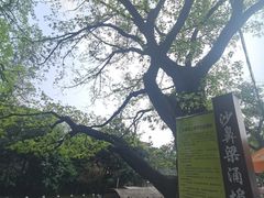 -东涌水乡风情街