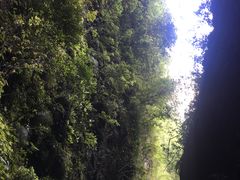 -武隆天坑地缝国家地质公园