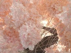-C'è Amore爱意(亿合城店)