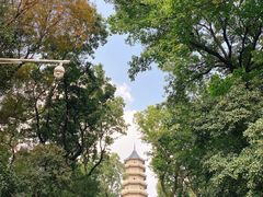 -灵谷景区