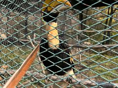 -哈尔滨北方森林动物园