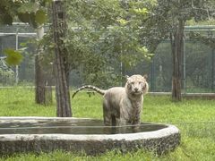 -秦皇岛野生动物园
