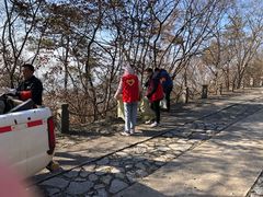 -紫金山山顶公园