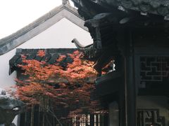 -何园