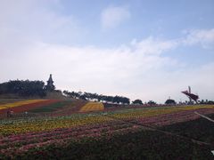 -东部华侨城