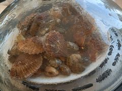 -港畔赶海蒸汽海鲜烧烤自助(仙螺岛店)