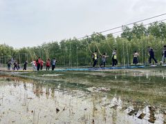 -滕州微山湖红荷湿地景区