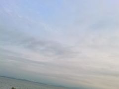 -深圳湾公园(南山区)