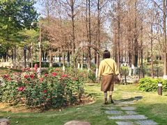 -映月湖公园