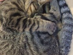 iphone_upload_pic-盛京一禾