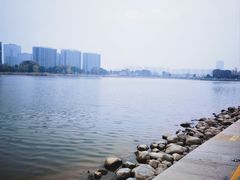 -金沙湖公园