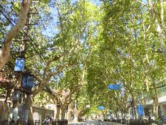 -老洋房花园饭店(绍兴路店)