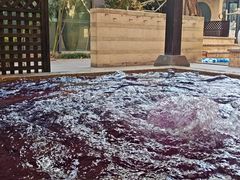 -春晖园度假酒店温泉