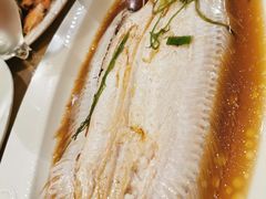 -Isla Sugbu Seafood City