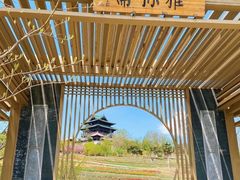 -北京世界公园