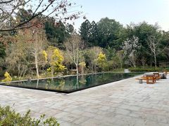-和顺柏联温泉
