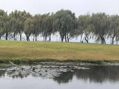 -柳浪闻莺公园