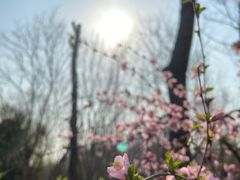 -大兴滨河森林公园