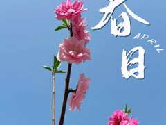 -国家植物园