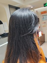 -木北造型