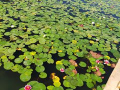 -永定河休闲森林公园