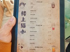-楼上猫咖(罗湖店)