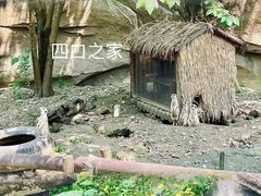 -成都动物园