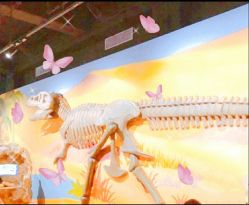 -北京科学中心儿童乐园