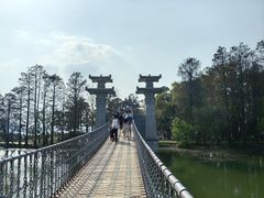-东湖落雁景区