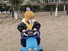 -菊园百果园