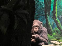 -国家自然博物馆