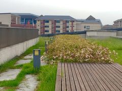 -江苏省苏州实验中学