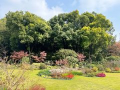 -上海市虹口区牙病防治所