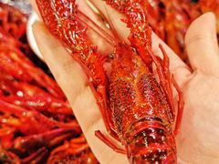 -霸王虾·麻辣小龙虾(清水河公园店)