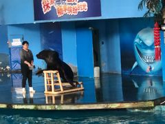 -苏州海洋馆