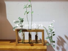 -柴务处·柴犬主题狗咖