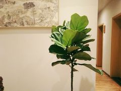-拂晓山房·私房川菜(西门店)