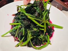 -小厨娘金榜题名(夫子庙秦淮河店)