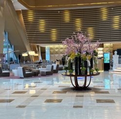 -英芬国际月子中心(岛屿度假月子·洲至奢选香岚店)